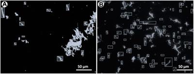 A new approach to deposit homogeneous samples of asbestos fibres for toxicological tests in vitro